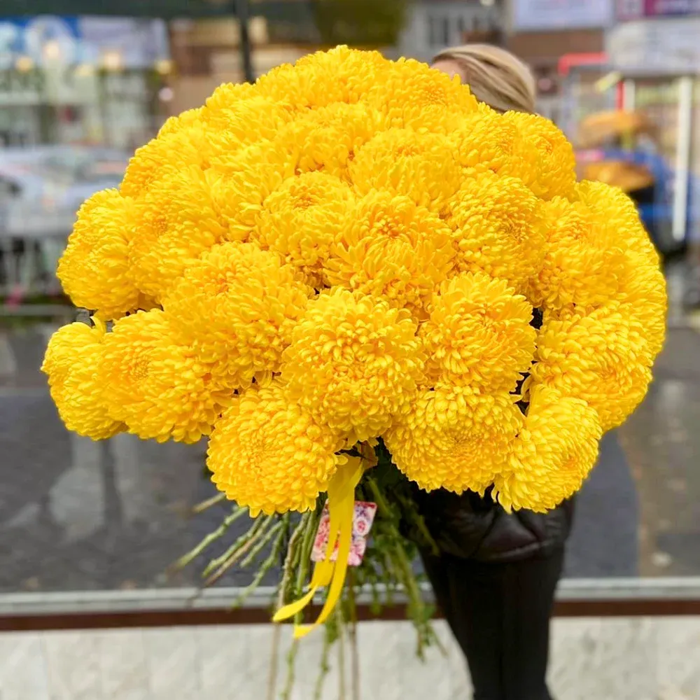 Хризантемы одноголовые