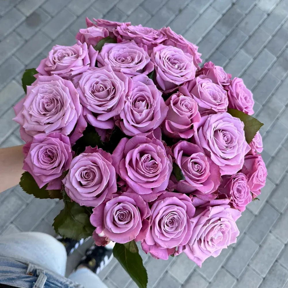 Фиолетовые розы