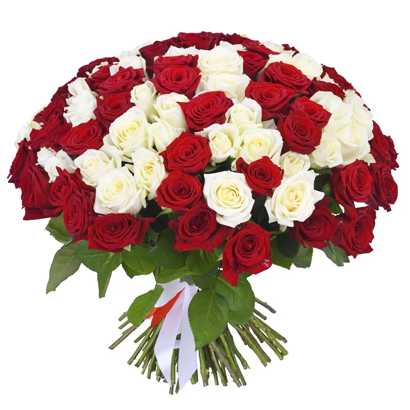 Букет из 101 красной и белой розы (70 см)